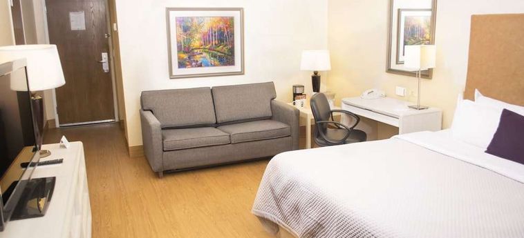 Hotel Holiday Inn Express Ciudad Juarez Ciudad Juarez: Foto 