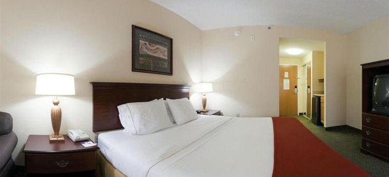 Hotel Holiday Inn Express & Suites Clearwater North/dunedin:  CLEARWATER (FL)