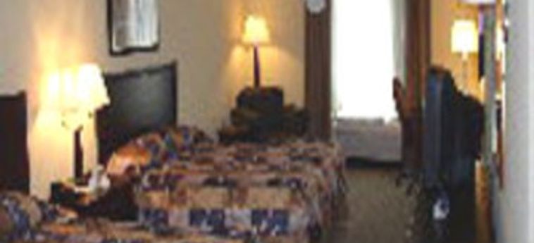 Holiday Inn Express Hotel & Suites Clearwater-Us 19 N:  CLEARWATER (FL)