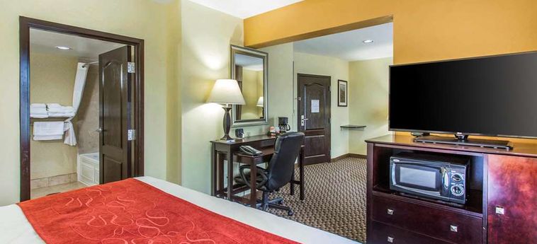 Hotel Comfort Suites, Clinton Clinton (Sc): Foto 