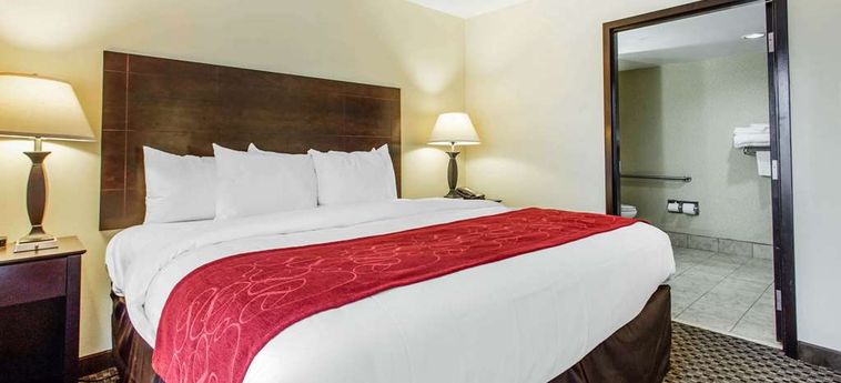Hotel Comfort Suites, Clinton Clinton (Sc): Foto 