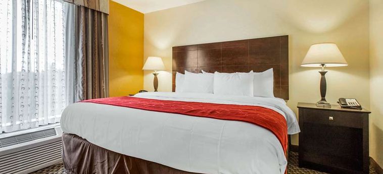 Hotel Comfort Suites, Clinton Clinton (Sc): Foto 