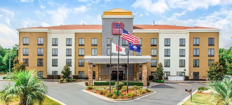 Hotel Comfort Suites, Clinton Clinton (Sc): Foto 