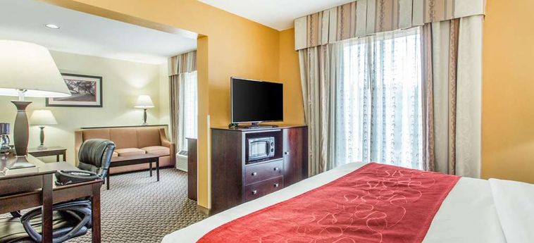 Hotel Comfort Suites, Clinton Clinton (Sc): Foto 
