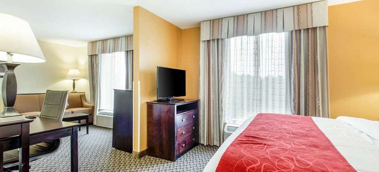 Hotel Comfort Suites, Clinton Clinton (Sc): Foto 