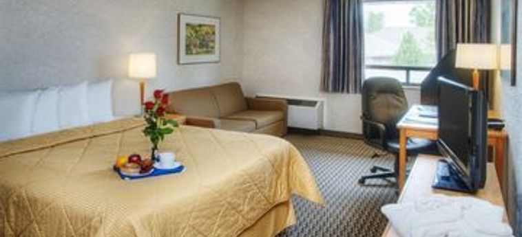Hotel Comfort Inn Cobourg : Photo 