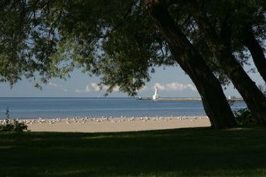 Hotel Comfort Inn Cobourg: Photo 