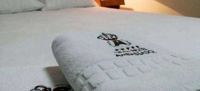 Hotel Grand Ambassador Cochabamba : Photo 