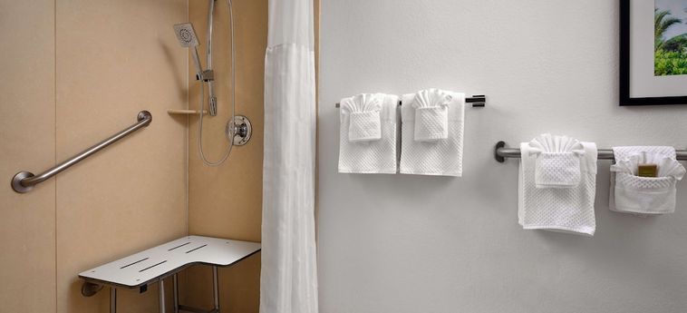 Hotel Hilton Garden Inn Cocoa Beach Oceanfront Cocoa Beach (Fl): Photo 