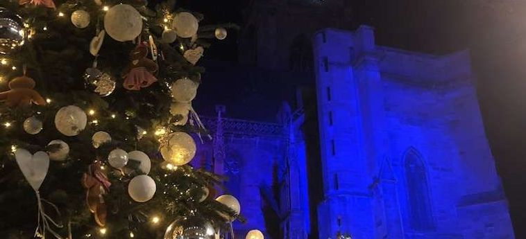 Hotel Arc En Ciel Colmar : Photo 
