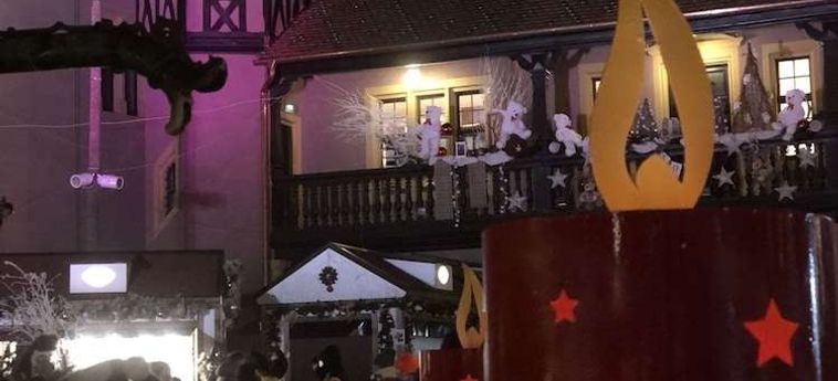 Hotel Arc En Ciel Colmar: Foto 