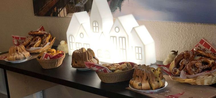 Hotel Arc En Ciel Colmar: Foto 