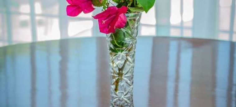 Radisson Hotel Hotel Colonia Del Sacramento Colonia Do Sacramento : Photo 