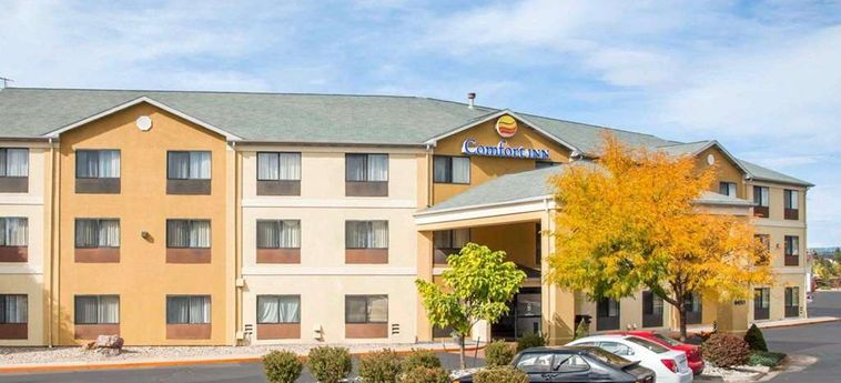Hotel Comfort Inn North - Air Force Academy Area:  COLORADO SPRINGS (CO)