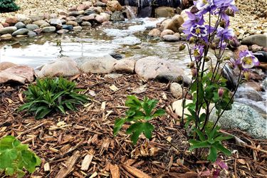 Hotel Peak Valley Manor, A Premier Bed &Amp; Breakfast Colorado Springs (Co): Photo 