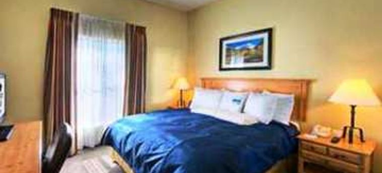 Hotel Homewood Suites By Hilton Colorado Springs North:  COLORADO SPRINGS (CO)