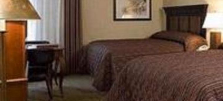 Hotel Holiday Inn Fort Rapids Resort:  COLUMBUS (OH)