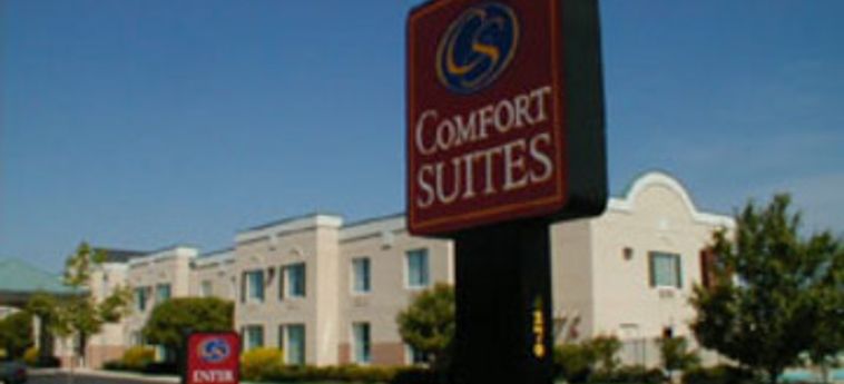 Hotel Comfort Suites Airport:  COLUMBUS (OH)