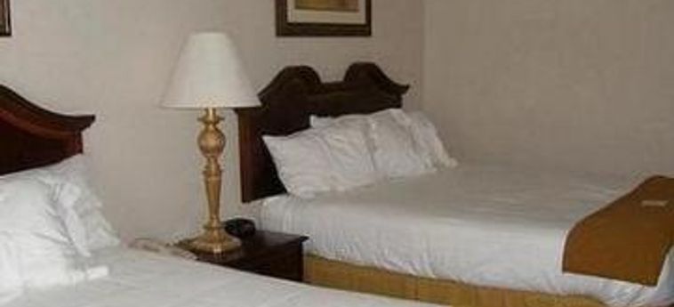 Hotel Holiday Inn Express Tanger Outlets:  COMMERCE (GA)