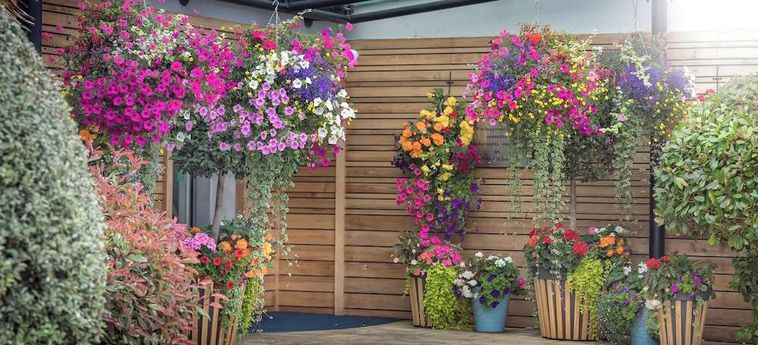 Quay Hotel &Amp; Spa Conwy: Foto 