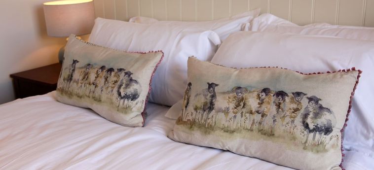 Hotel The Erskine Arms Conwy: Foto 
