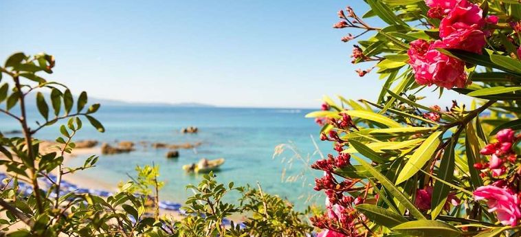 Hotel Cala Di Sole Córcega: Foto 