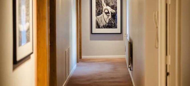 Hotel Isaacs:  CORK