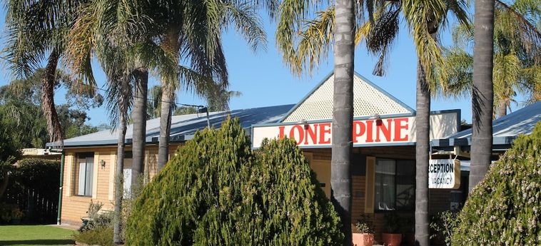 Hotel Lone Pine Motel - Corowa:  COROWA