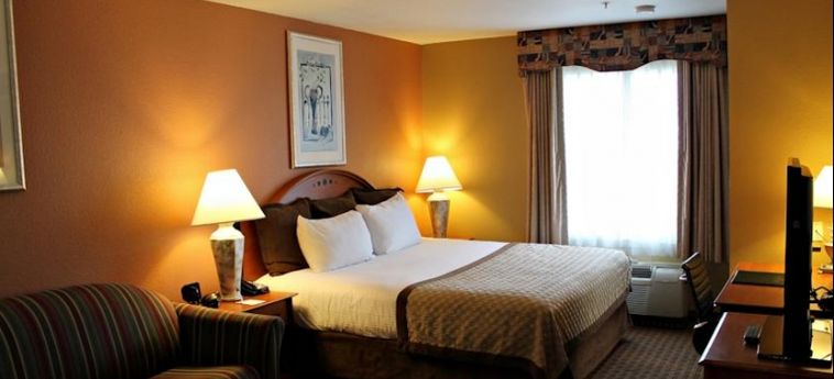 Hotel Hawthorn Suites By Wyndham Corpus Christi:  CORPUS CHRISTI (TX)
