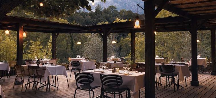 Hotel Paesotel E Caselle Corsica: Foto 