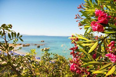 Hotel Cala Di Sole Corsica: Photo 