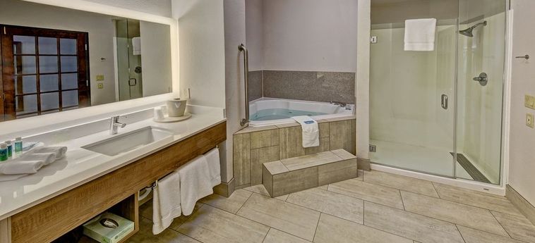 Hotel Holiday Inn Express Suites I-45:  CORSICANA (TX)