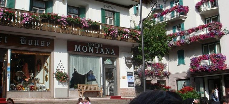 Hotel Montana:  CORTINA D'AMPEZZO - BELLUNO