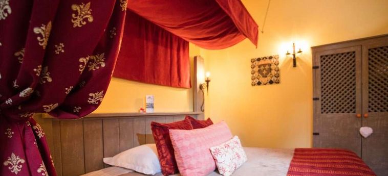 Hotel Chateau Des Ducs De Joyeuse Couiza: Foto 