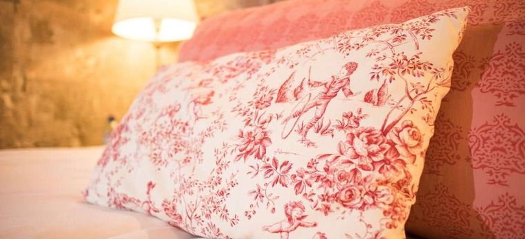 Hotel Chateau Des Ducs De Joyeuse Couiza : Photo 