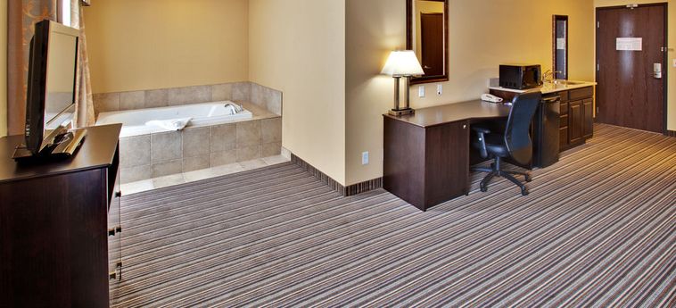Hotel Holiday Inn Express & Suites Council Bluffs - Conv Ctr Area:  COUNCIL BLUFFS (IA)