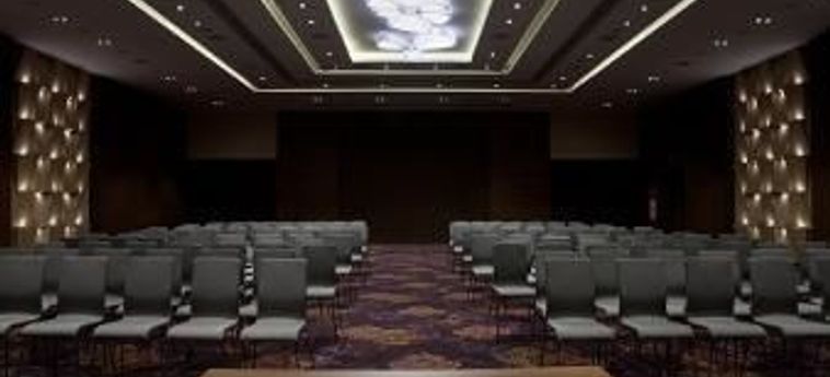 Hotel Ramada Plaza By Wyndham Craiova Craiova : Photo 