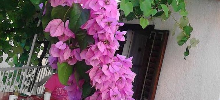 Hotel Zora Holiday Home Cres Island - Kvarner: Foto 