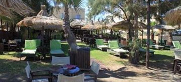 Panos Beach Hotel:  CRETA
