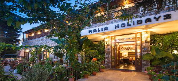Hotel Malia Holidays:  CRETA