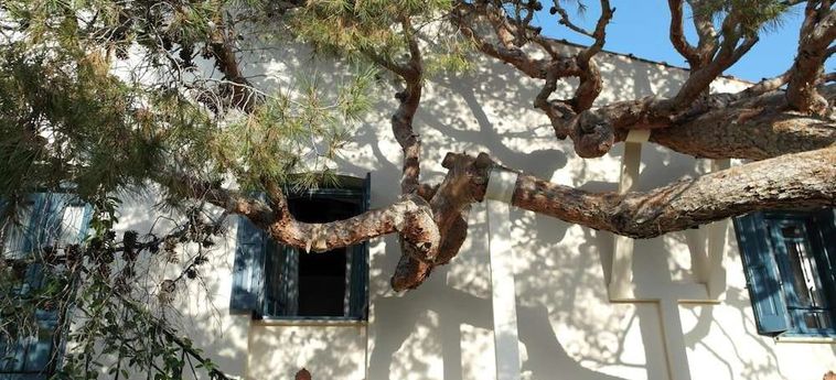 Hotel Villa Kynthia:  CRETA