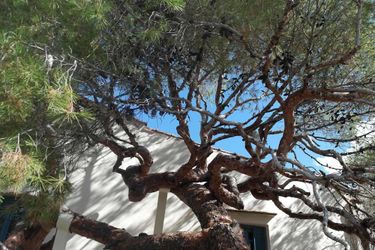 Hotel Villa Kynthia:  CRETE