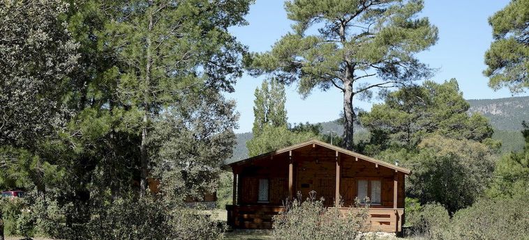 Hotel Cabañas El Llano De Los Conejos Cuenca: Foto 