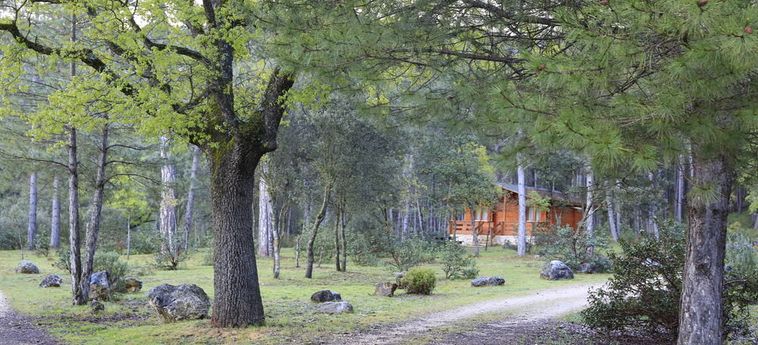 Hotel Cabañas El Llano De Los Conejos Cuenca: Foto 