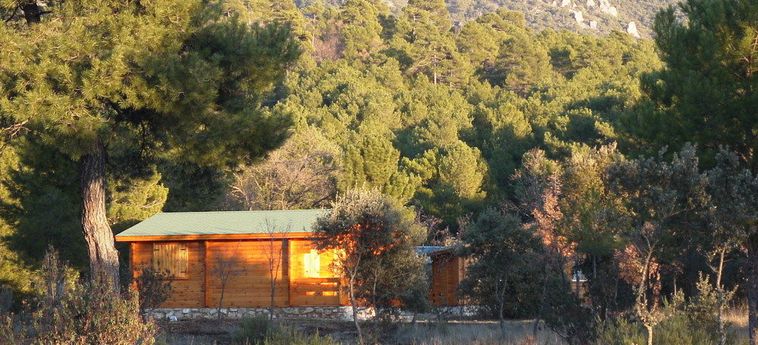 Hotel Cabañas El Llano De Los Conejos Cuenca: Foto 