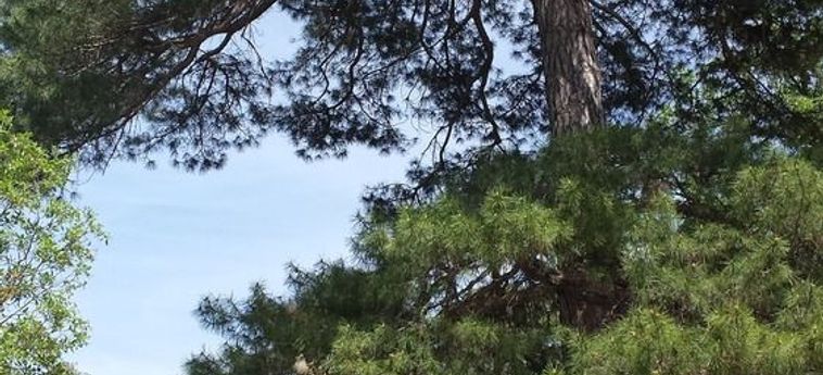 Hotel Cabañas El Llano De Los Conejos Cuenca: Foto 