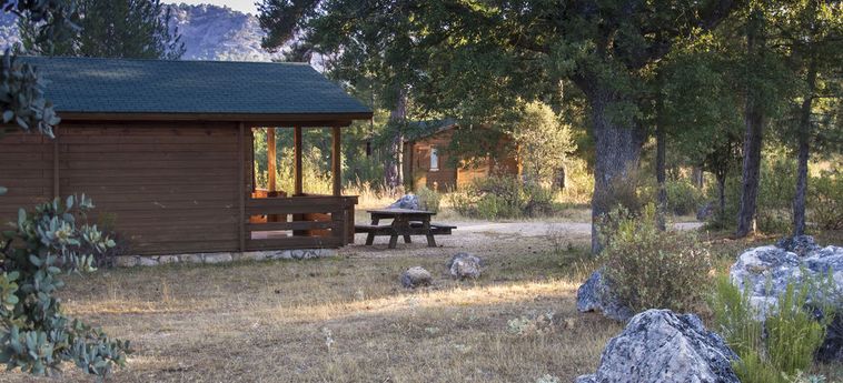 Hotel Cabañas El Llano De Los Conejos Cuenca: Foto 