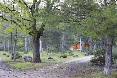 Hotel Cabañas El Llano De Los Conejos Cuenca: Photo 
