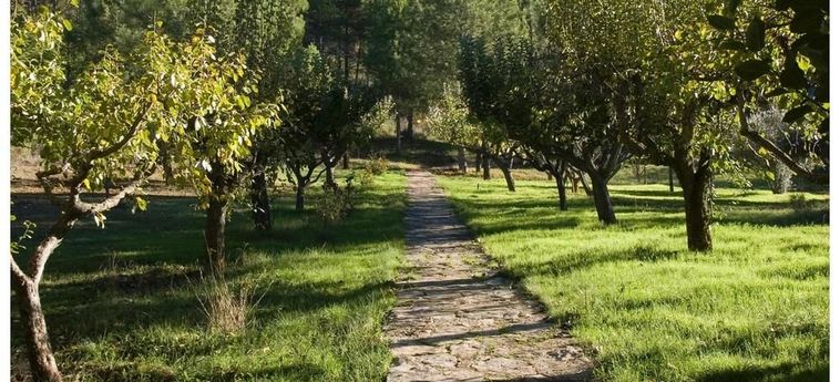 Hotel Rusticae La Casita De Cabrejas Cuenca: Foto 