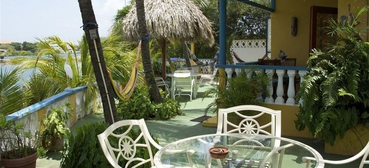Hotel Limestone Holiday Resort:  CURACAO